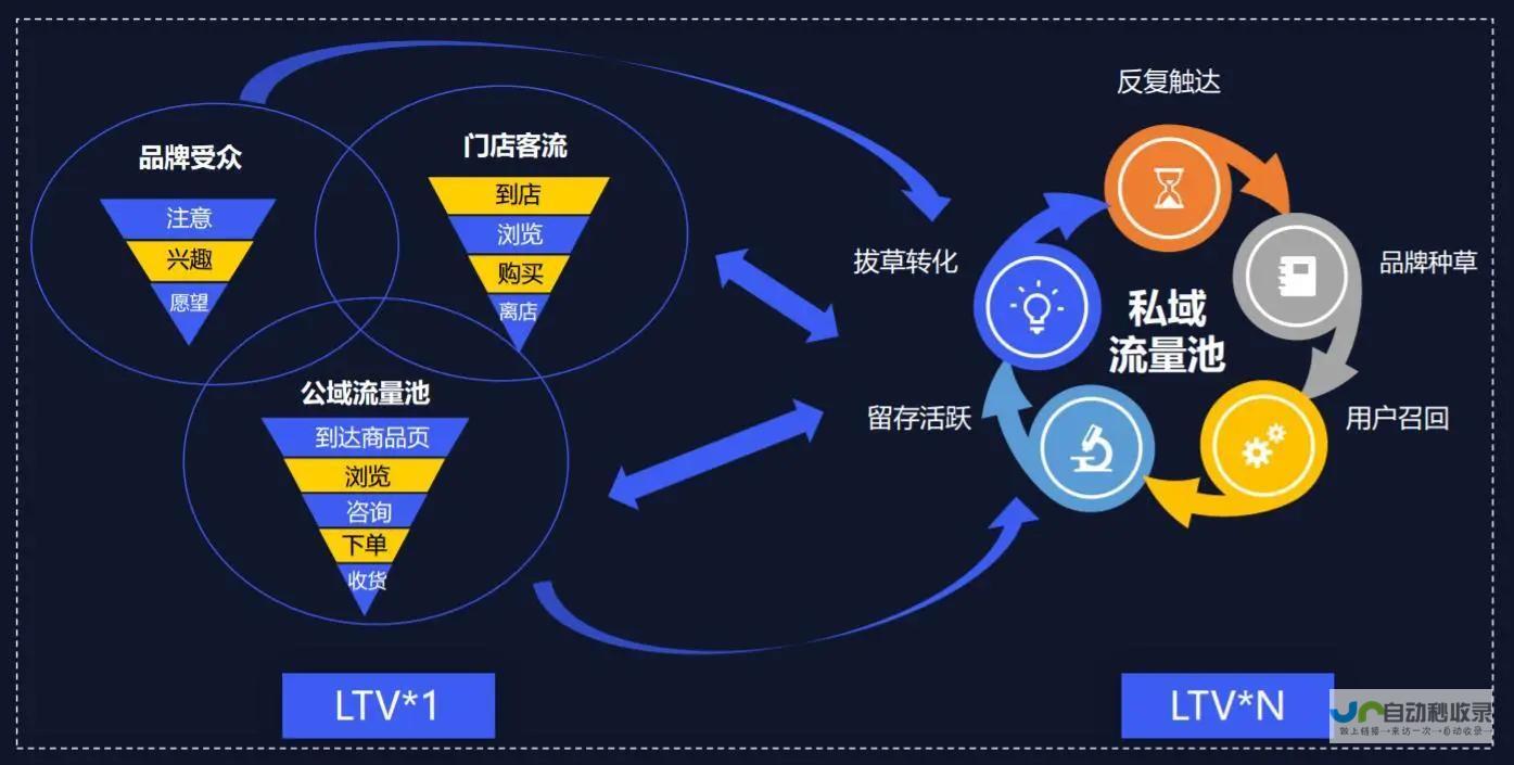 打造引流高效的门户网站：从策略规划到技术实现