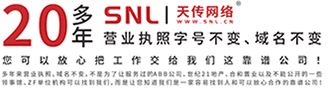 广州网站建设_网页设计网站改版_网络推广制作公司 - SNL|广州天传网络